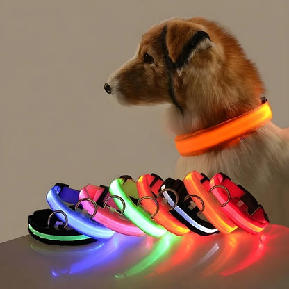 iLove™ LED Dog Collar